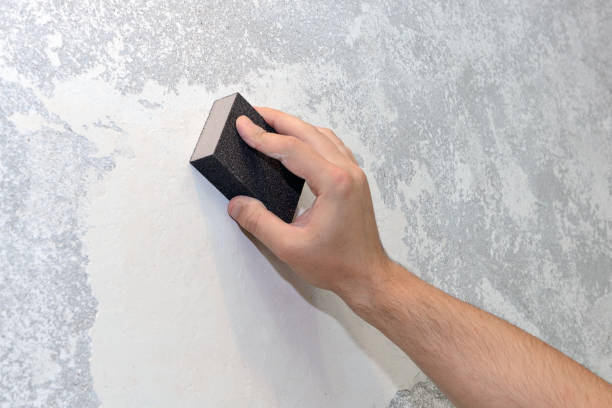 Dehumidification Services in Minnetonka, MN