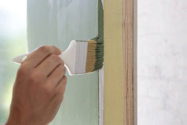 Best Biohazard Mold Removal  in Minnetonka, MN