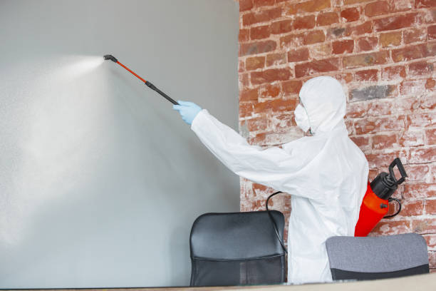 Best Residential Mold Inspection & Testing  in Minnetonka, MN