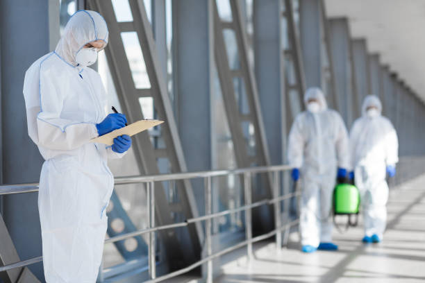 Best Airborne Mold Testing  in Minnetonka, MN