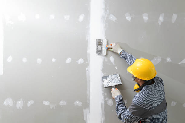 Best Forensic Mold Investigation  in Minnetonka, MN