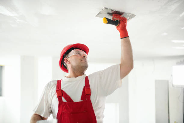 Best Biohazard Mold Removal  in Minnetonka, MN