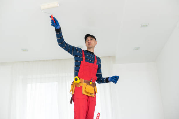 Best Mold Prevention Services  in Minnetonka, MN