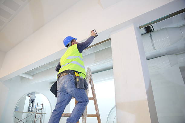 Mold Odor Removal Services in Minnetonka, MN
