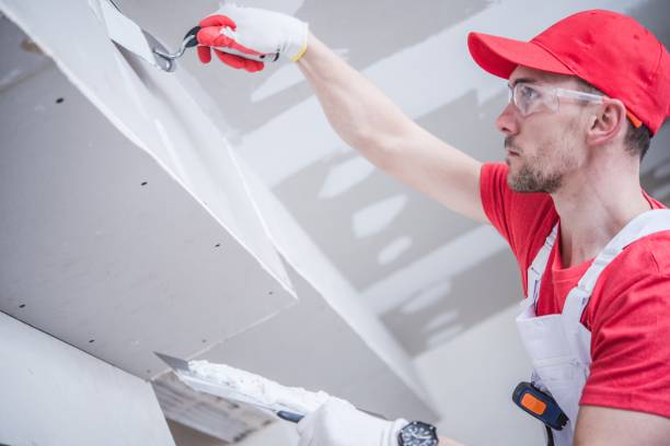 Best Environmental Consulting for Mold Prevention  in Minnetonka, MN